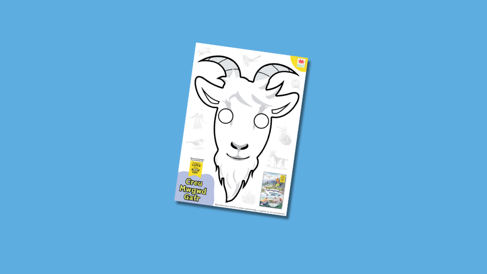 Gwyrdd ein Byd low cost dressing up resource sheets Welsh version