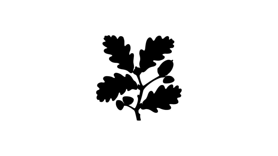 National Trust logo