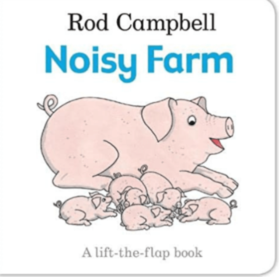 Noisy Farm book cover